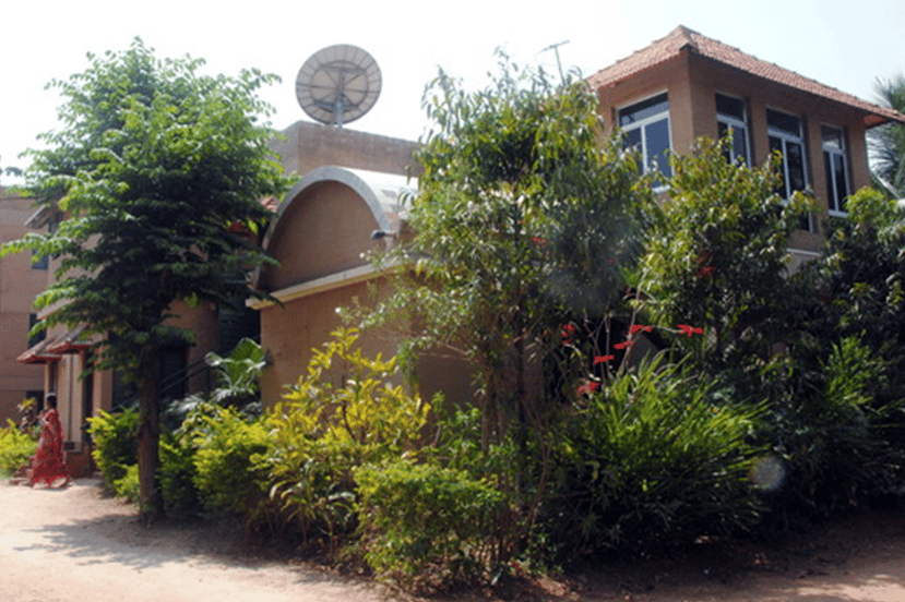 Building surrounded by plants