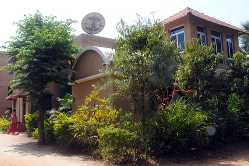 Building surrounded by plants