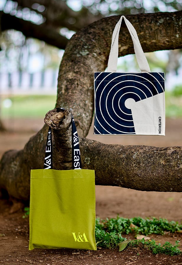 Two bags hanging from trees